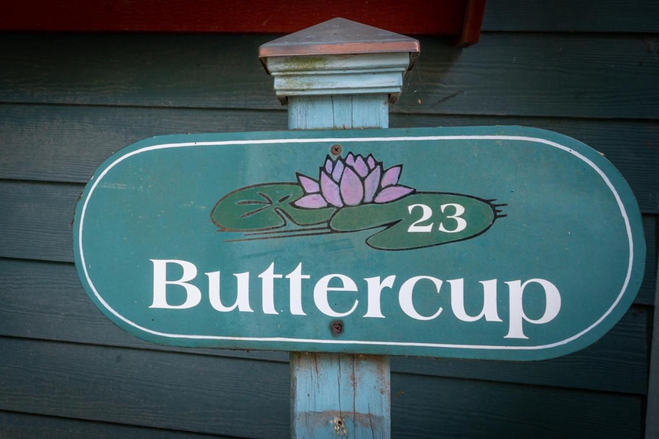 Buttercup Cottage 阿什维尔 外观 照片